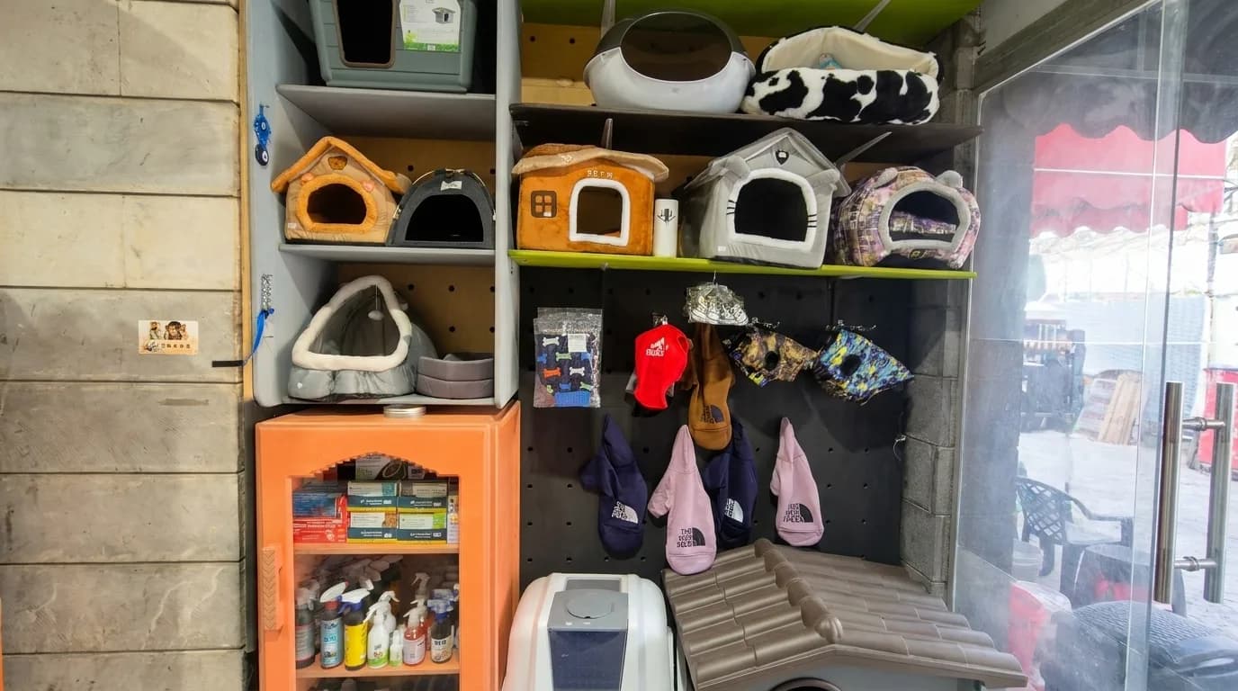 Pet houses, carriers, litter trays, and accessories displayed in the store