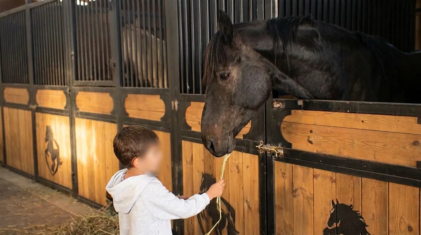 Child interacting with a horse inside the stable at Har Odem Farm
